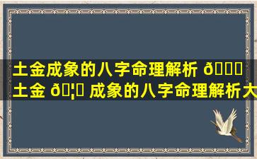 土金成象的八字命理解析 🐞 （土金 🦆 成象的八字命理解析大全）